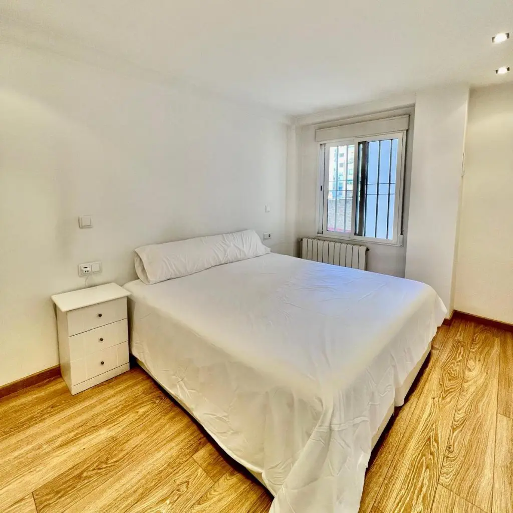 Alquiler - La Petxina9