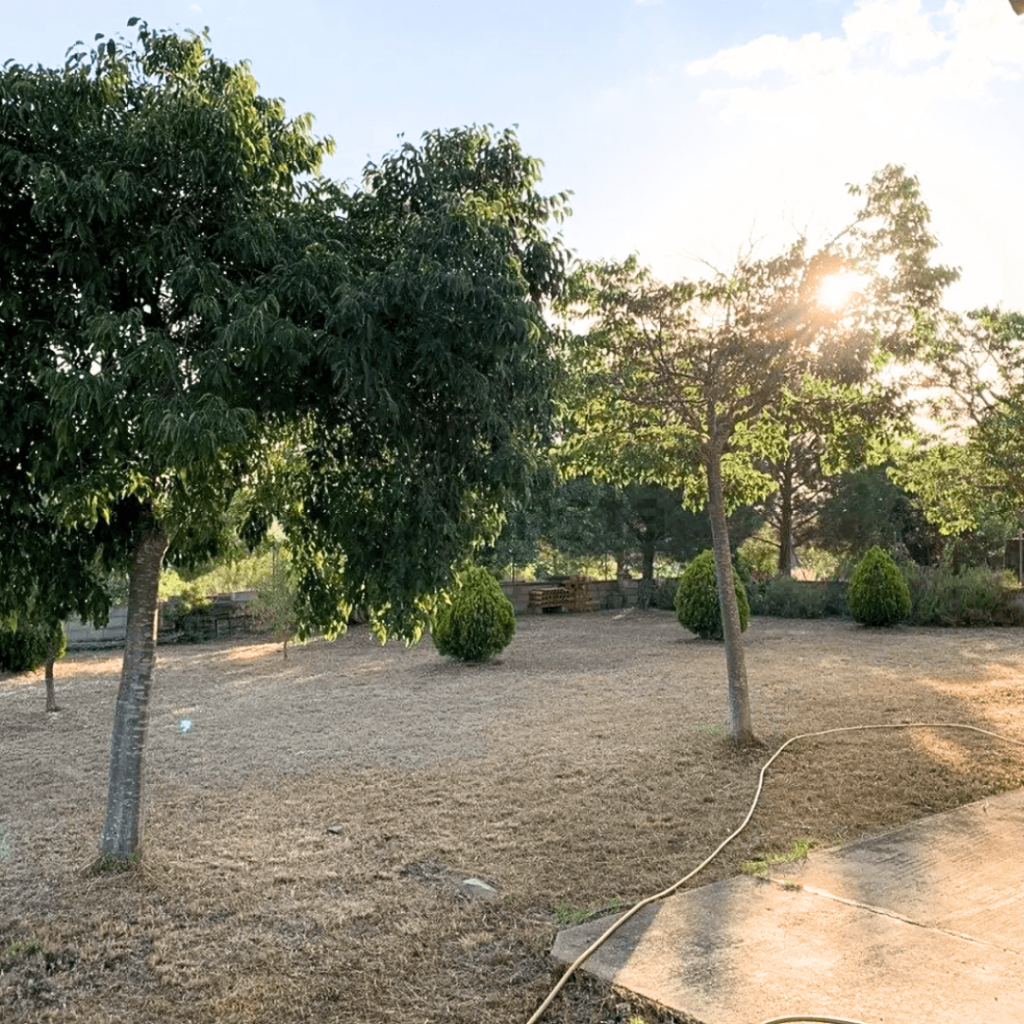 COMPRA CHALET EN CHIVA 8