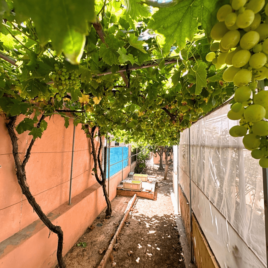 CASA RÚSTICA EN VENTA EN CHIVA 11