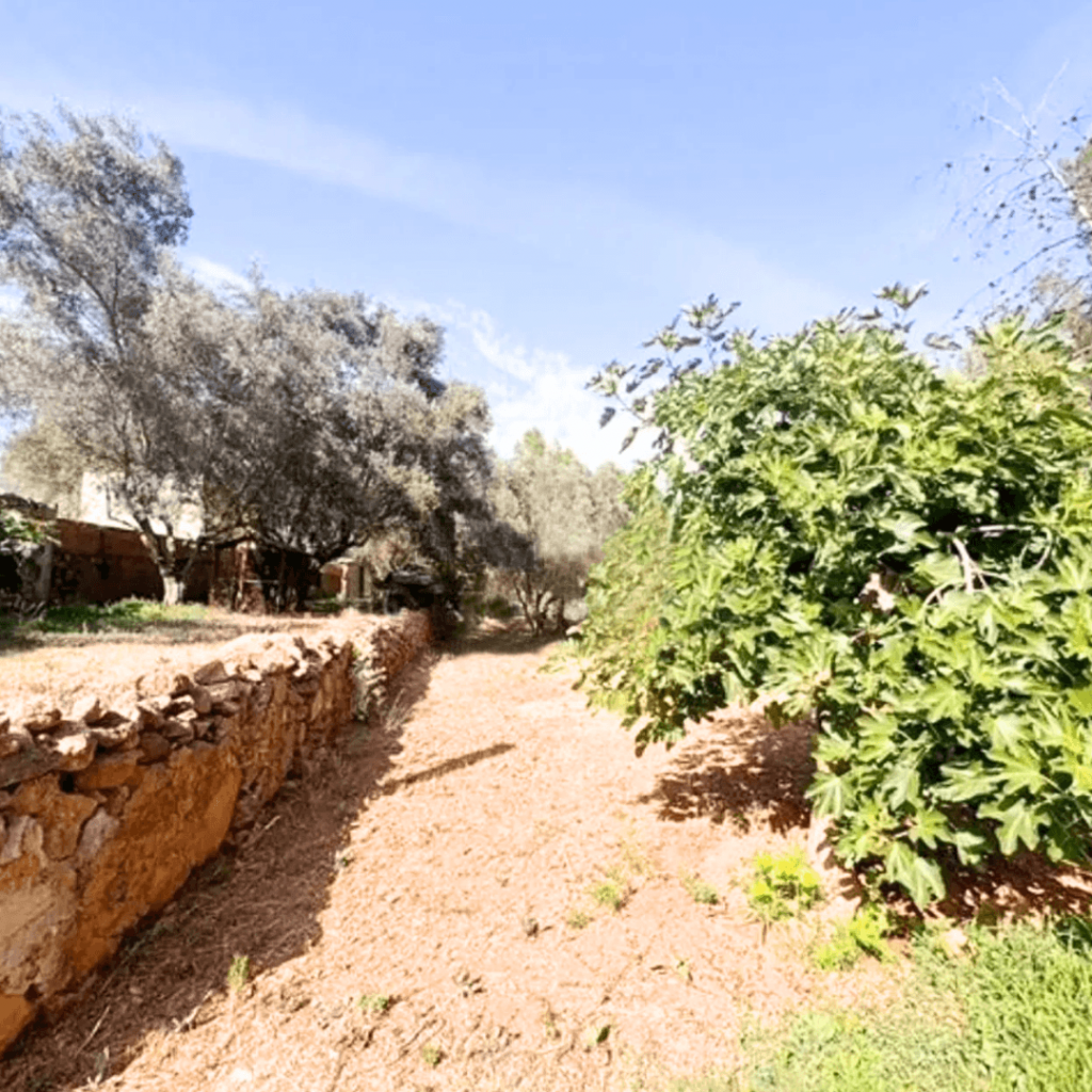 chalet-con-piscina-en-tales 36