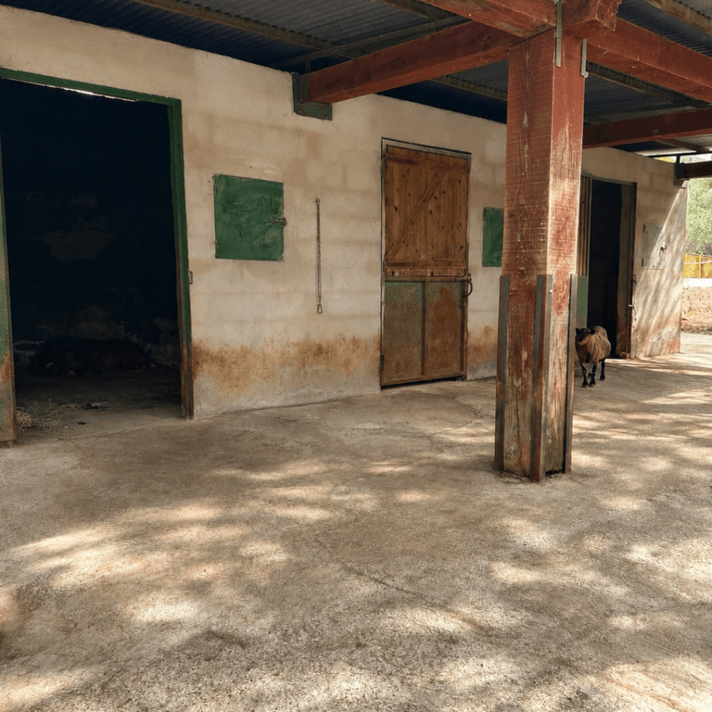 Chalet en venta en Tales 16