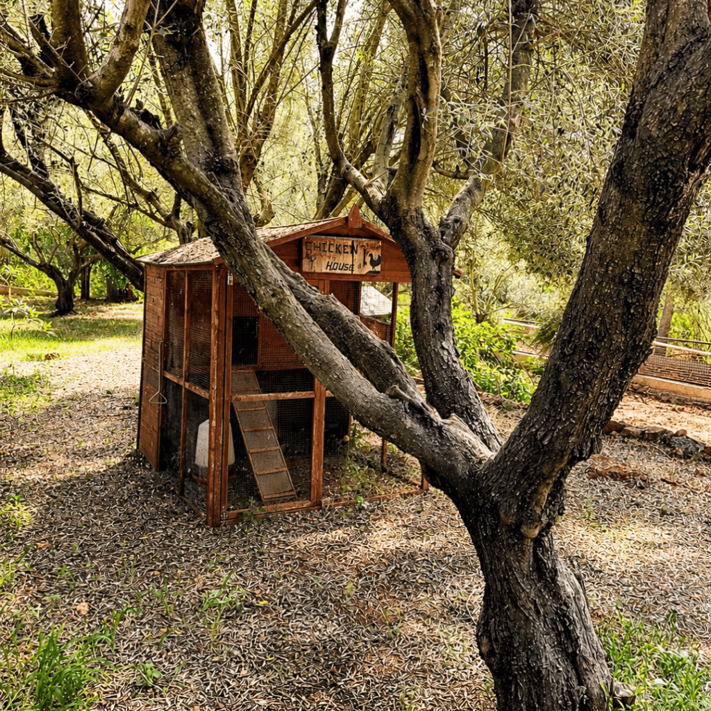 Chalet en venta en Tales 18